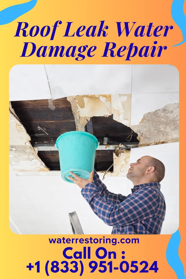 Roof Leak Water Damage Repair in San Carlos Park, FL